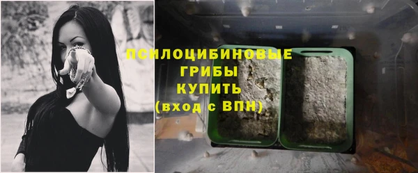 ешки Абинск