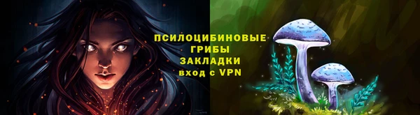 винт Алзамай