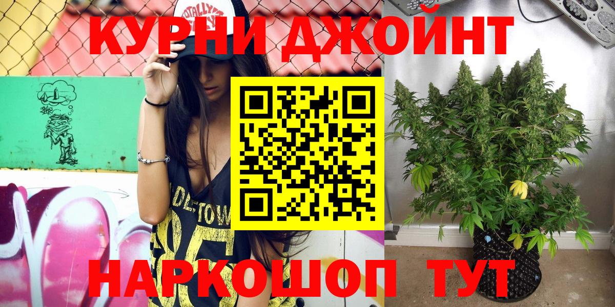 Бошки Шишки планчик  МАРИХУАНА сатива  Красноперекопск  Вход с VPN  Бошки марихуана марихуана 